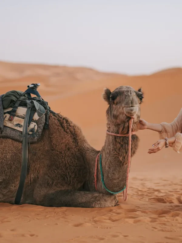 7 Days Tour from Casablanca to Marrakech Itinerary