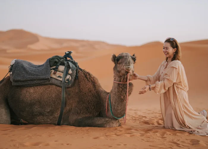 7 Days Tour from Casablanca to Marrakech Itinerary