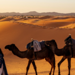 Woman enjoying sunset in Merzouga Desert
