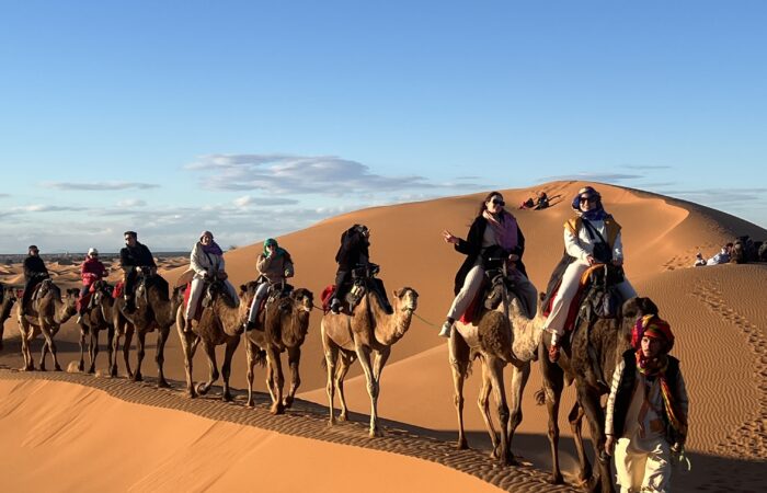 Camel caravan traversing golden Erg Chebbi sand dunes during a Sahara desert sunset near Merzouga
