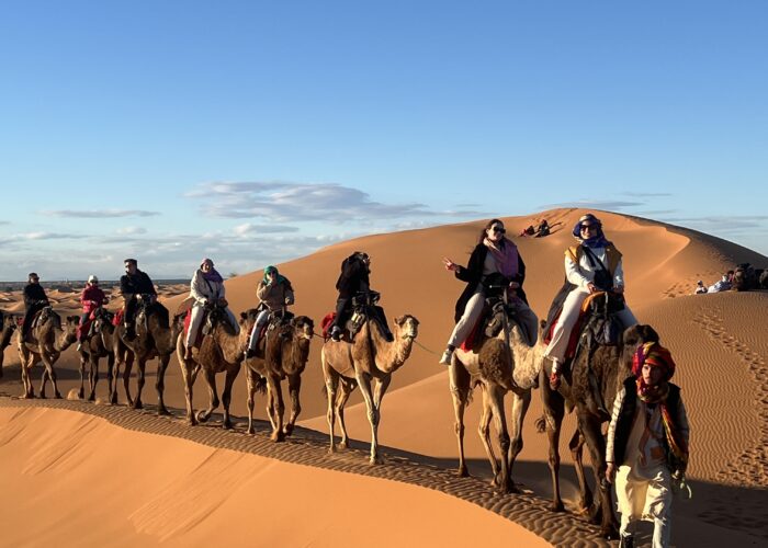 Camel caravan traversing golden Erg Chebbi sand dunes during a Sahara desert sunset near Merzouga